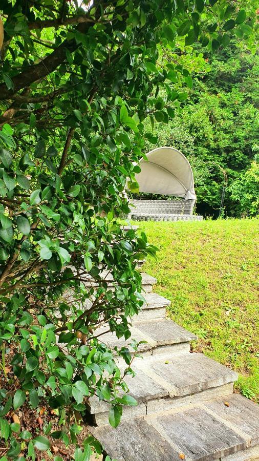 Bella Vista Lago Maggiore Ghiffa Exteriör bild