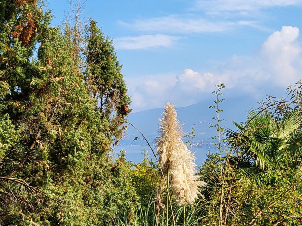 Bella Vista Lago Maggiore Ghiffa Exteriör bild