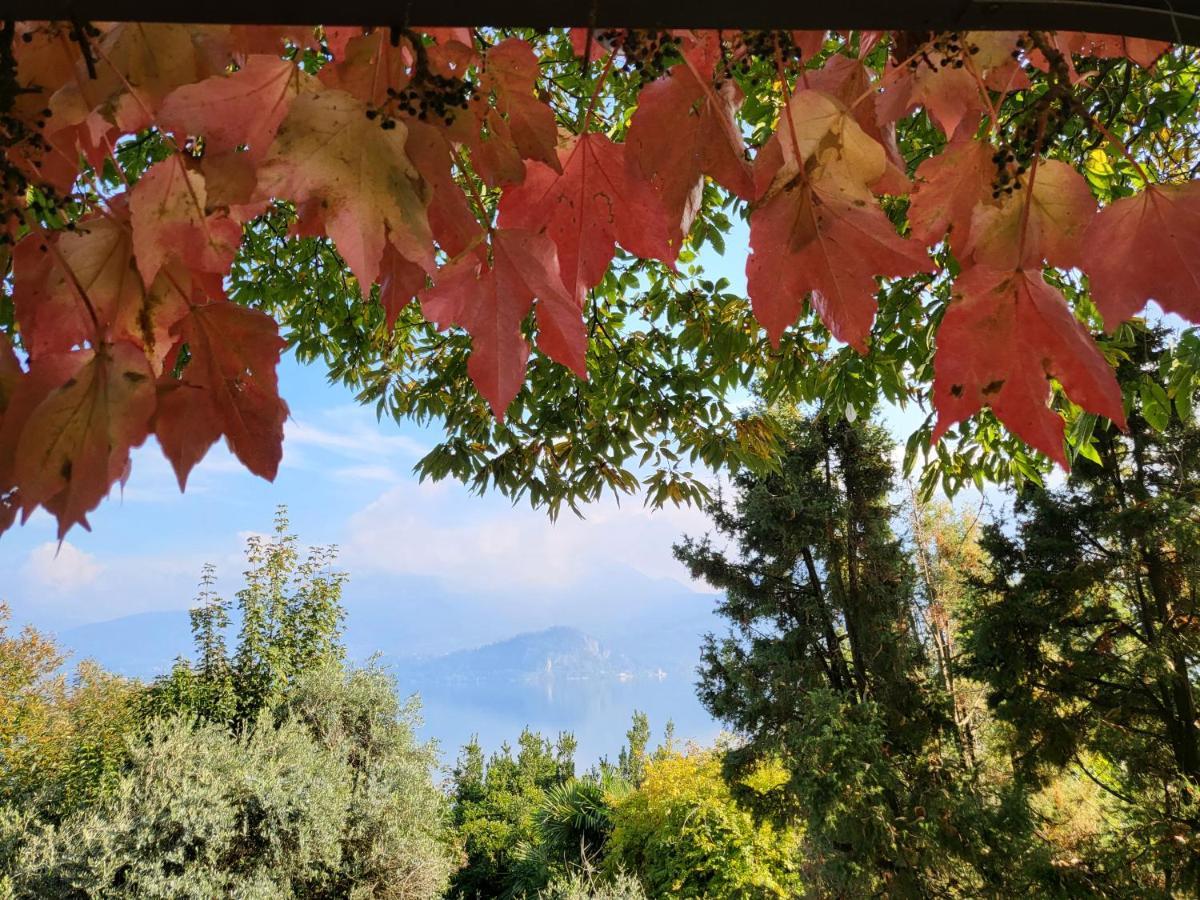 Bella Vista Lago Maggiore Ghiffa Exteriör bild