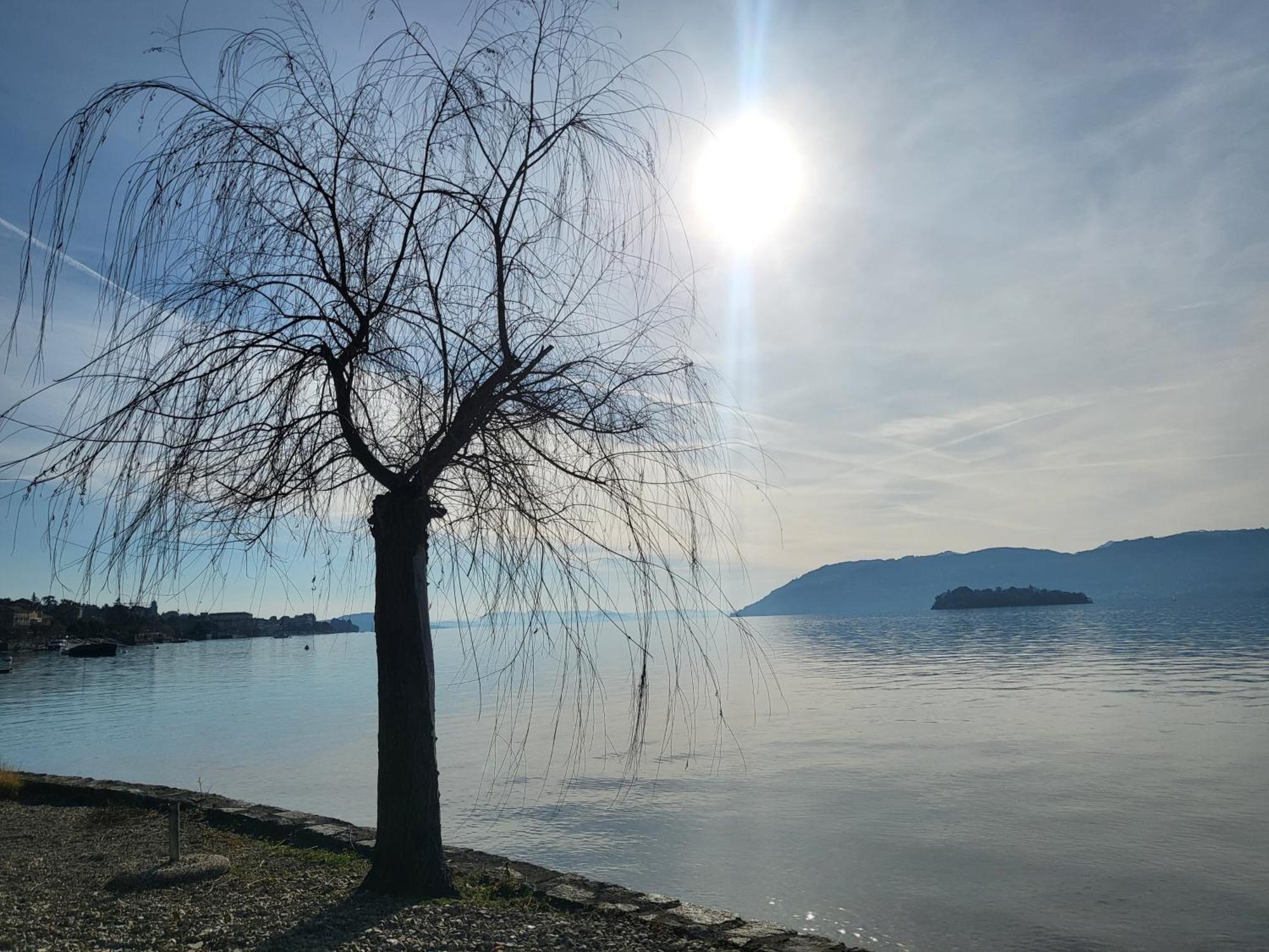 Bella Vista Lago Maggiore Ghiffa Exteriör bild
